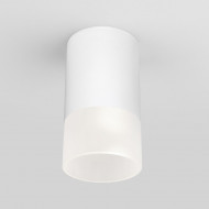 Накладной уличный светильник Elektrostandard Light LED 2106 (35139/H) белый