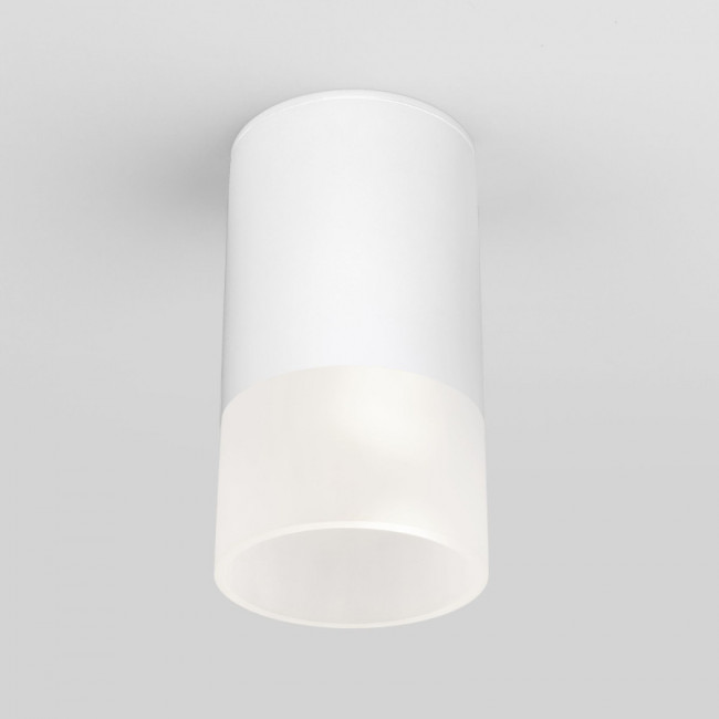 Накладной уличный светильник Elektrostandard Light LED 2106 (35139/H) белый