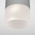 Накладной уличный светильник Elektrostandard Light LED 2106 (35139/H) серый