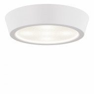 Влагозащищенный светильник Lightstar 214902