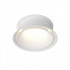 Влагозащищенный светильник Denkirs DK2403-WH
