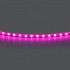 Лента Lightstar 420512