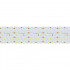 Лента Arlight 023407