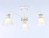 Накладной светильник Ambrella Light TR9562