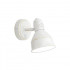 Спот Citilux CL502513