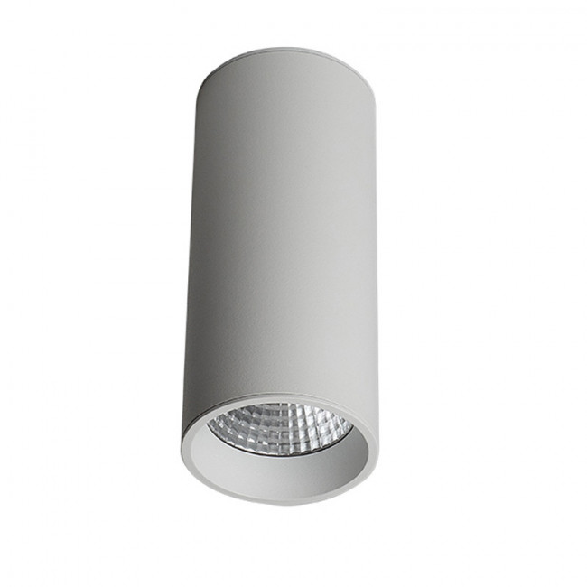 Накладной светильник LeDron SLC7392/12W-W