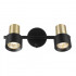 Спот Citilux CL505621