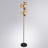 Торшер ARTE Lamp A2243PN-6PB