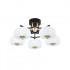 Накладной светильник Escada 10301/5LED