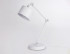 Настольная лампа Ambrella Light TR8152