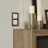 Терморегулятор Werkel W1151162
