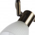 Спот ARTE Lamp A5062PL-3AB