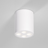 Накладной светильник Elektrostandard 25111/LED 7W 4000K белый
